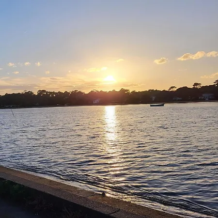 Hossegor, Maison Familiale Intergenerationnelle , Quartier Calme Et Residentiel 度假居 索尔特奥瑟戈尔