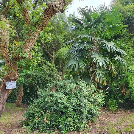Prázdninový dům Hossegor, Maison Familiale Intergenerationnelle , Quartier Calme Et Residentiel *