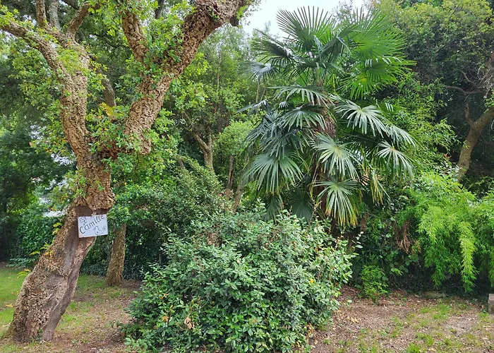 Prázdninový dům Hossegor, Maison Familiale Intergenerationnelle , Quartier Calme Et Residentiel *